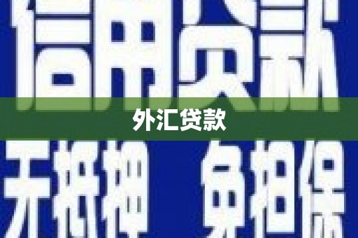 越城外汇贷款