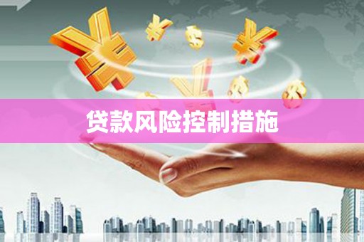 越城贷款风险控制措施