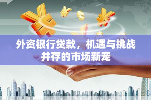 越城外资银行贷款，机遇与挑战并存的市场新宠