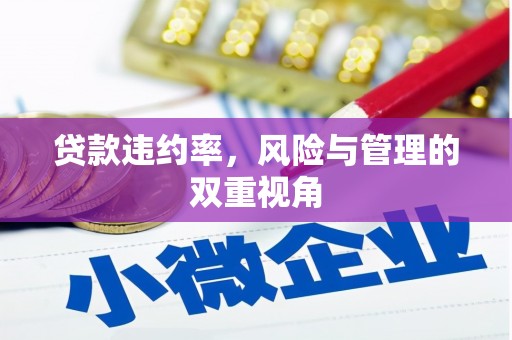 越城贷款违约率，风险与管理的双重视角