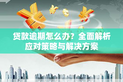 越城贷款逾期怎么办？全面解析应对策略与解决方案