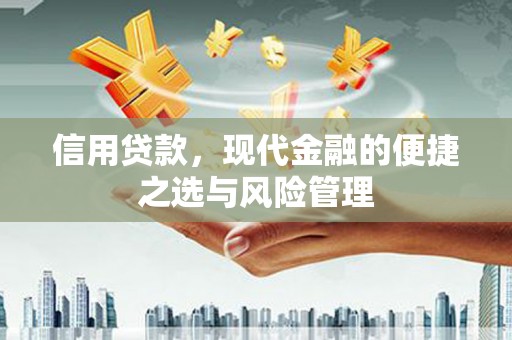越城信用贷款，现代金融的便捷之选与风险管理