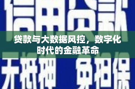 越城贷款与大数据风控，数字化时代的金融革命