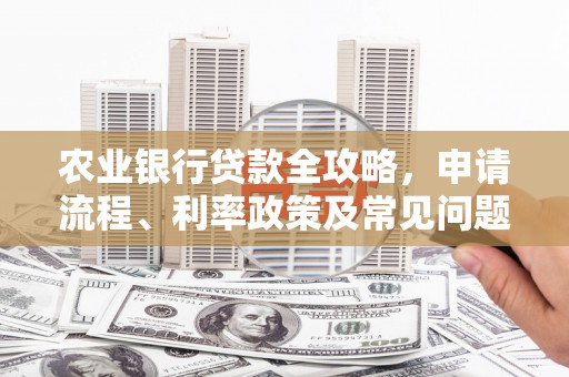 越城农业银行贷款全攻略，申请流程、利率政策及常见问题解析
