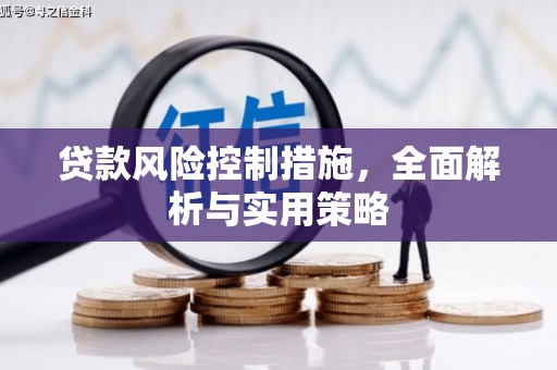 越城贷款风险控制措施，全面解析与实用策略