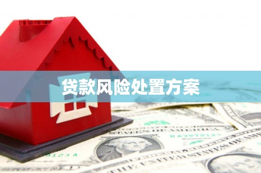 越城贷款风险处置方案