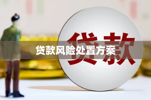 越城贷款风险处置方案