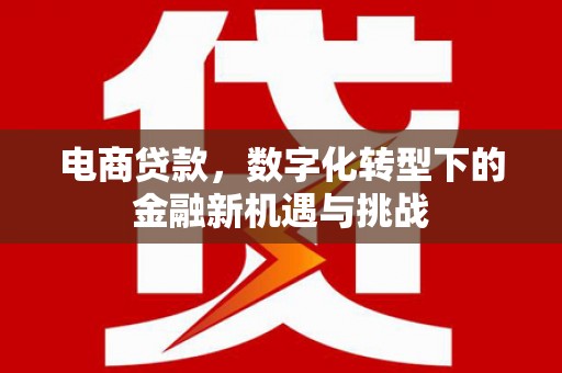 越城电商贷款，数字化转型下的金融新机遇与挑战