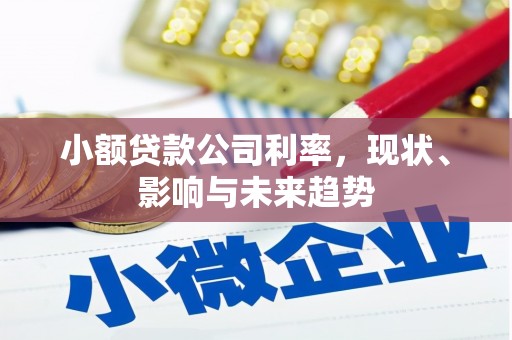 越城小额贷款公司利率，现状、影响与未来趋势