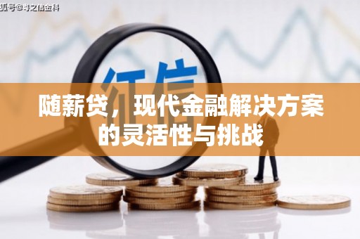 越城随薪贷，现代金融解决方案的灵活性与挑战