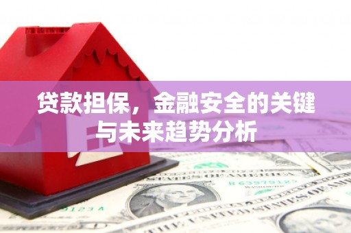 越城贷款担保，金融安全的关键与未来趋势分析