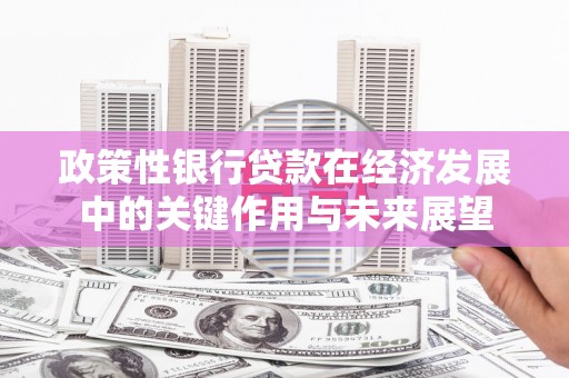 越城政策性银行贷款在经济发展中的关键作用与未来展望