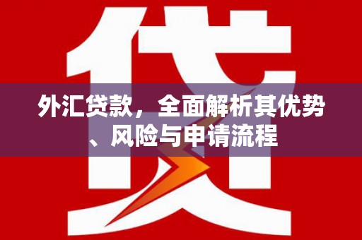 越城外汇贷款，全面解析其优势、风险与申请流程