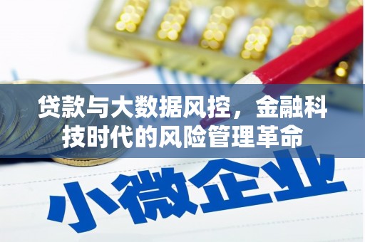 越城贷款与大数据风控，金融科技时代的风险管理革命