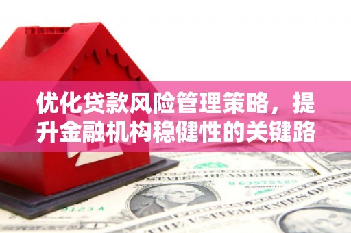 越城优化贷款风险管理策略，提升金融机构稳健性的关键路径