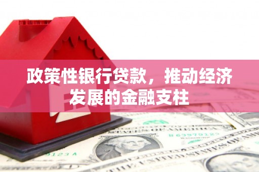 越城政策性银行贷款，推动经济发展的金融支柱