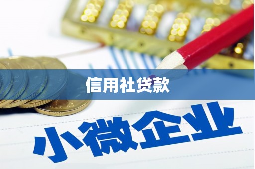 越城信用社贷款