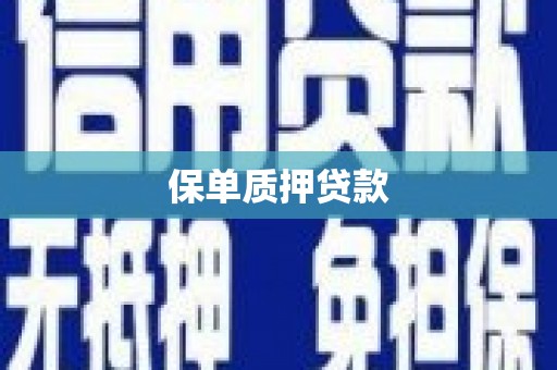 越城保单质押贷款