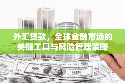 越城外汇贷款，全球金融市场的关键工具与风险管理策略