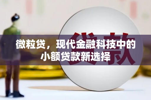 越城微粒贷，现代金融科技中的小额贷款新选择