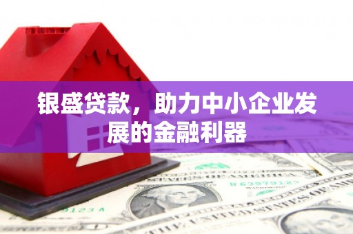 越城银盛贷款，助力中小企业发展的金融利器