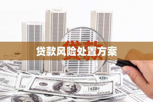 越城贷款风险处置方案