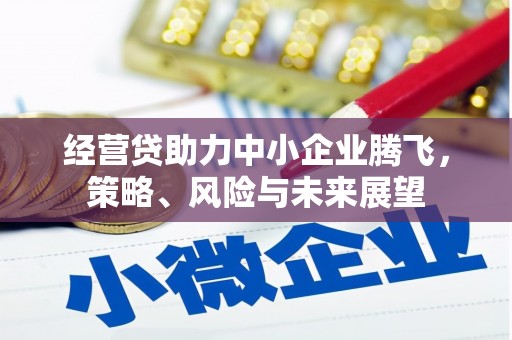 越城经营贷助力中小企业腾飞，策略、风险与未来展望