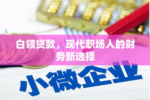 越城白领贷款，现代职场人的财务新选择