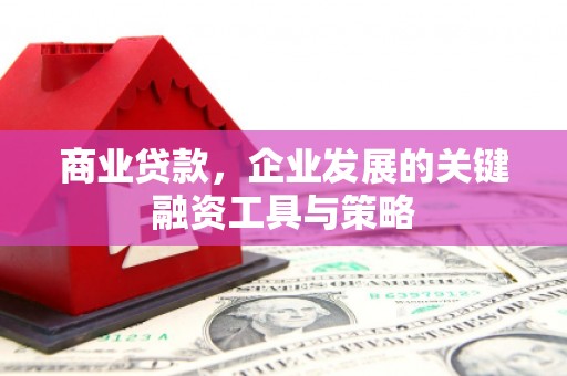 越城商业贷款，企业发展的关键融资工具与策略