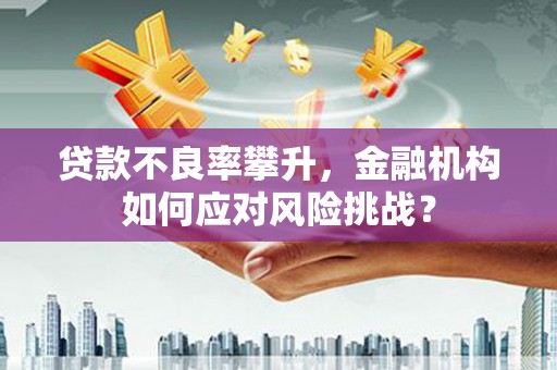 越城贷款不良率攀升，金融机构如何应对风险挑战？