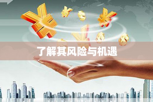 越城了解其风险与机遇