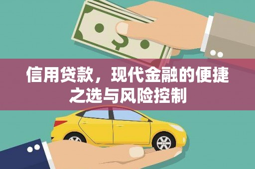 越城信用贷款，现代金融的便捷之选与风险控制