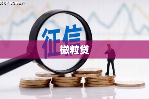 越城微粒贷