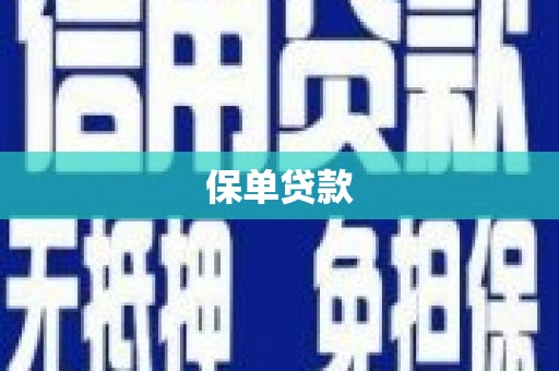 越城保单贷款