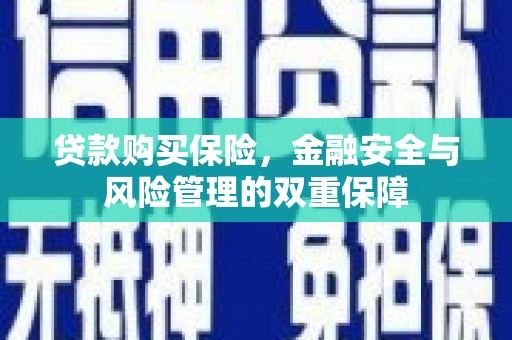 越城贷款购买保险，金融安全与风险管理的双重保障