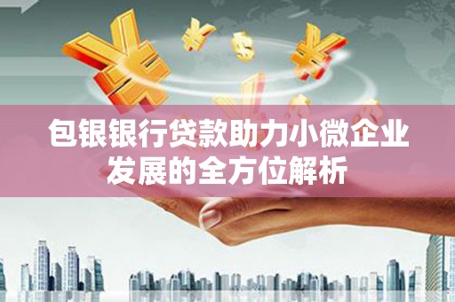 越城包银银行贷款助力小微企业发展的全方位解析