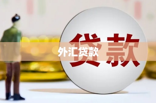 越城外汇贷款