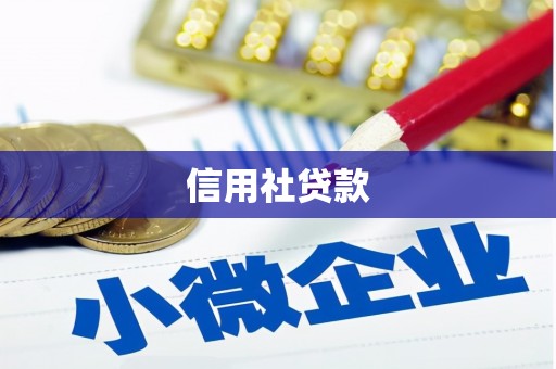 越城信用社贷款