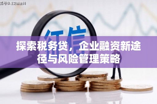 越城探索税务贷，企业融资新途径与风险管理策略