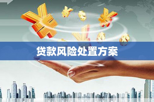 越城贷款风险处置方案