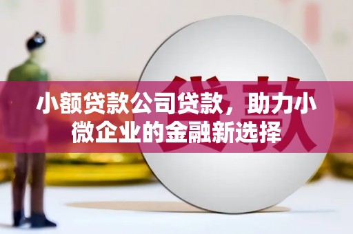 越城小额贷款公司贷款，助力小微企业的金融新选择