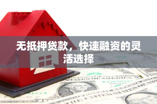 越城无抵押贷款，快速融资的灵活选择