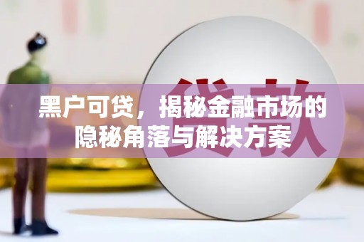 越城黑户可贷，揭秘金融市场的隐秘角落与解决方案