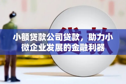 越城小额贷款公司贷款，助力小微企业发展的金融利器