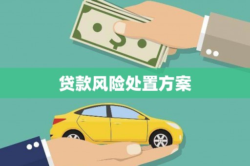 越城贷款风险处置方案