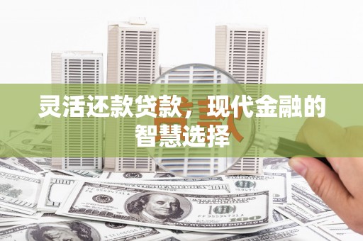 越城灵活还款贷款，现代金融的智慧选择