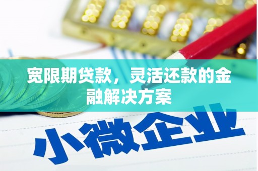 越城宽限期贷款，灵活还款的金融解决方案