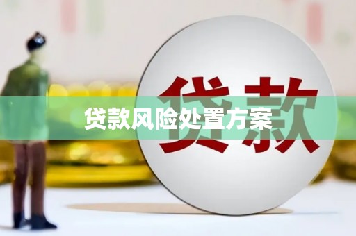 越城贷款风险处置方案