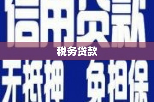 越城税务贷款