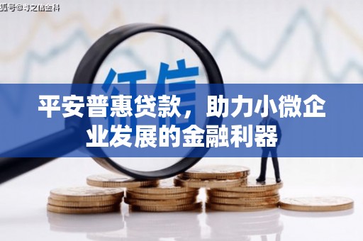 越城平安普惠贷款，助力小微企业发展的金融利器
